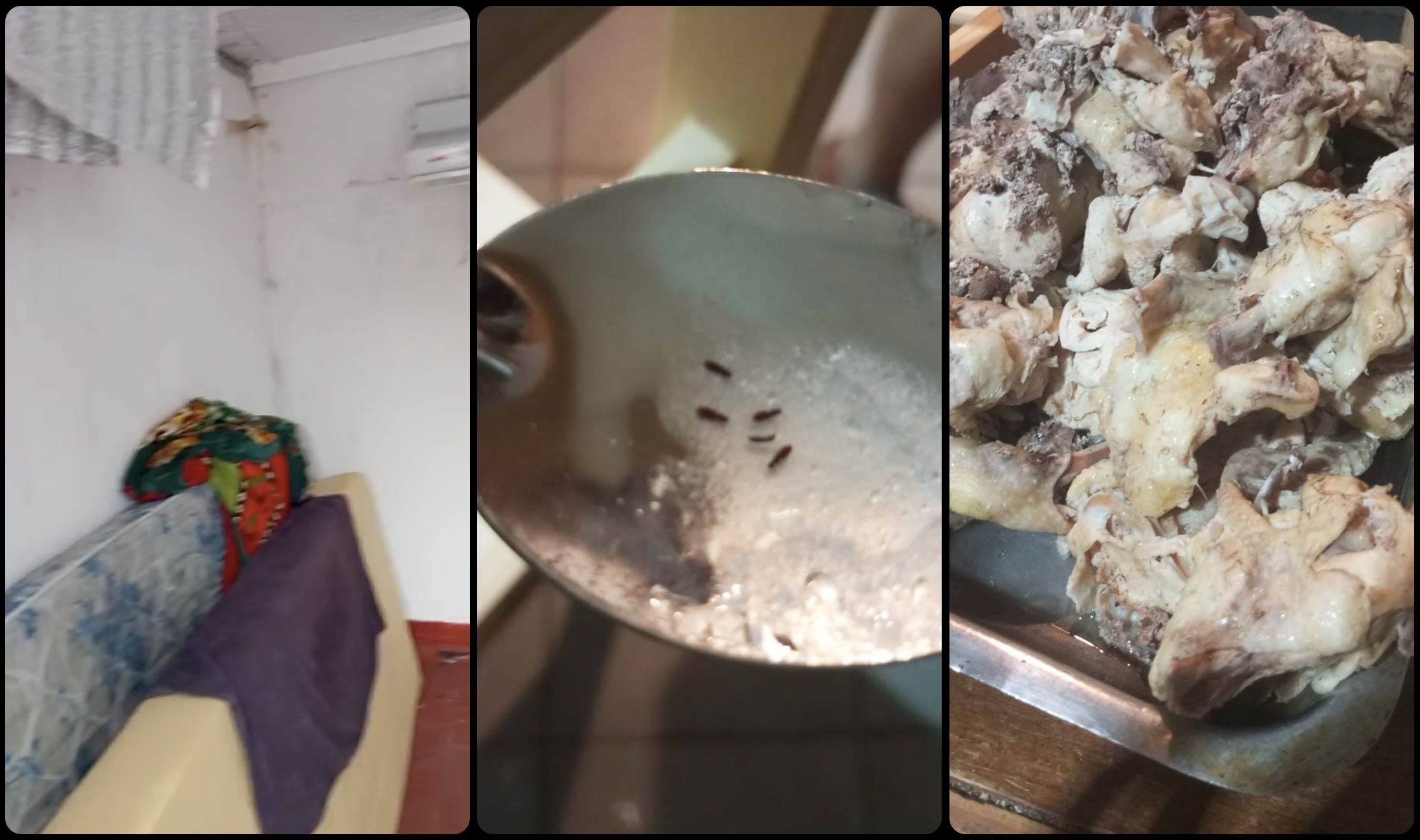 阿根廷足球青训黑幕：天才工厂背后的残酷系统